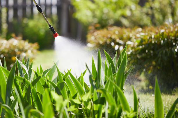 Tamper-Resistant Bait Stations for Rodents in Sullivan