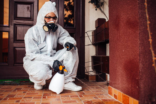Attic and Crawl Space Rodent Treatment in Sullivan