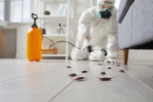 Commercial Rodent Management in Sullivan